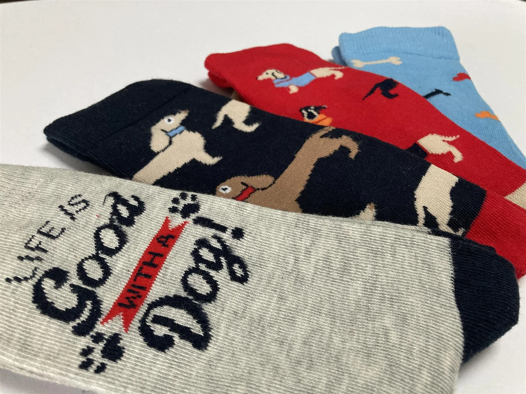Boxt Socks Mens 4 Pack Dog House Gift Set - Image 8